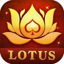 rummy delti download